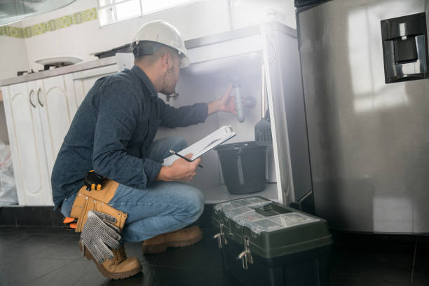 Best Local Plumber Services  in Homerville, GA